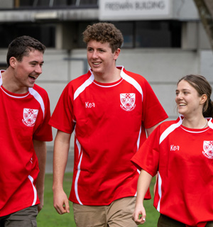 Professional teamwear